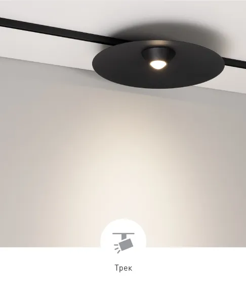 Фото #1 товара DISCO