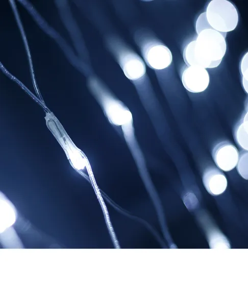 Фото #1 товара Netlight Home