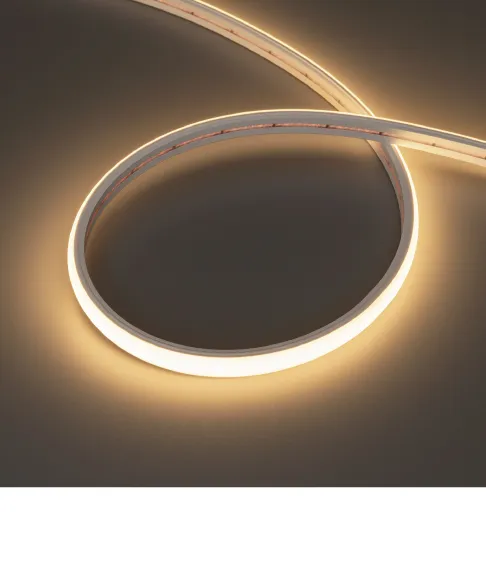 Фото #2 товара MOONLIGHT 11x7