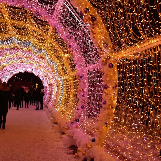 Фото #5 товара Светодиодная гирлянда ARD-STRING-CLASSIC-10000-WHITE-100LED-FLASH PINK (230V, 7W) (Ardecoled, IP65)