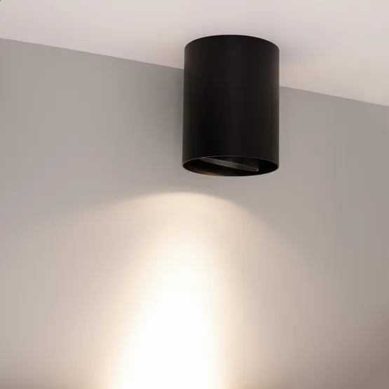 Фото #2 товара Светильник SP-FOCUS-R132-24W Day4000 (BK, 15 deg, 230V) (Arlight, IP54 Металл, 5 лет)