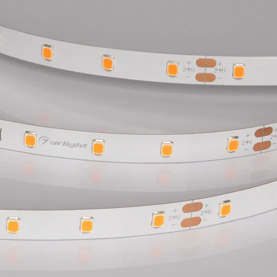 Фото #3 товара Светодиодная лента RT-A60-8mm 24V Carrot (4.8 W/m, IP20, 5m) (Arlight, -)