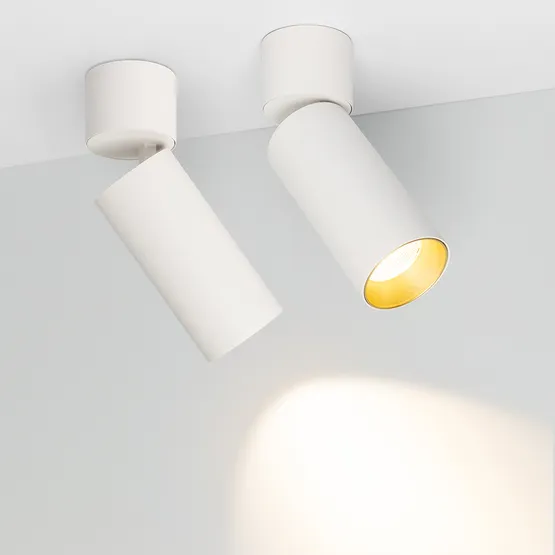 Фото #3 товара Светильник SP-POLO-SURFACE-FLAP-R65-8W Warm3000 (WH-GD, 40 deg) (Arlight, IP20 Металл, 3 года)