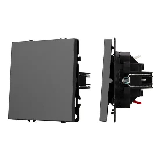 Фото #1 товара Механизм выключателя одноклавишный непроходной SWT-NOBE-MK01-SFPL-GR (230V, 10A) (Arlight, Серый базальт)