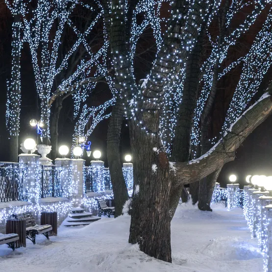 Фото #5 товара Светодиодная гирлянда ARD-STRING-CLASSIC-10000-WHITE-100LED-MILK-STD White (230V, 7W) (Ardecoled, IP65)