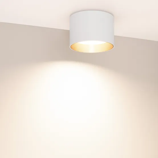 Фото #2 товара Светильник SP-BISCOTTO-R120-12W Warm3300-MIX (WH-GD, 80 deg, 230V) (Arlight, IP54 Металл, 5 лет)