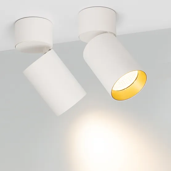 Фото #2 товара Светильник SP-POLO-SURFACE-FLAP-R85-15W Warm3000 (WH-GD, 40 deg) (Arlight, IP20 Металл, 3 года)