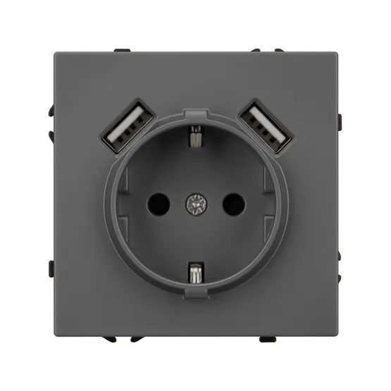 Фото #2 товара Механизм розетки с USB зарядкой SCT-NOBE-MUAA-SFPL-GR (230V, 16A) (Arlight, Серый базальт)