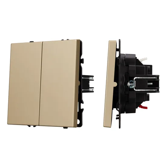 Фото #1 товара Механизм выключателя двухклавишный непроходной SWT-NOBE-MK02-SFPL-GD (230V, 10A) (Arlight, Золотой песок)