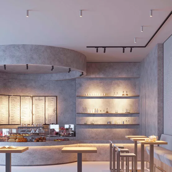 Фото #4 товара Светильник SP-ARTEMIS-SURFACE-FLAP-R55-12W Warm2700 (WH, 8-80 deg, 230V) (Arlight, IP20 Металл, 5 лет)