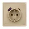Минифото #4 товара Механизм розетки с USB зарядкой SCT-NOBE-MUAC-SFPL-GD (230V, 16A) (Arlight, Золотой песок)
