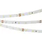 Минифото #1 товара Светодиодная лента RT 2-5000 24V SUN Day4000 (2835, 60 LED/m, LUX) (Arlight, 7.2 Вт/м, IP20)