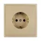 Минифото #3 товара Механизм электрической розетки SCT-NOBE-MEU1-SFPL-GD (230V, 16A) (Arlight, Золотой песок)