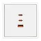 Минифото #4 товара Механизм розетки с быстрой USB зарядкой SCT-NOBE-MUACC-SFPL-FC-WH (65W, QC3) (Arlight, -)