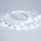 Минифото #4 товара Светодиодная лента RT 2-5000 24V Cool 8K 0.5x (3528, 150 LED, LUX) (Arlight, 2.9 Вт/м, IP20)