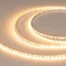 Минифото #1 товара Светодиодная лента RT-A120-5mm 12V Warm2400 (9.6 W/m, IP20, 2835, 5m) (Arlight, 9.6 Вт/м, IP20)