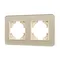 Минифото #1 товара Рамка стеклянная FRM-OMALI-GS-2-GD (Arlight, -)
