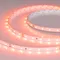 Минифото #1 товара Светодиодная лента RT-A60-8mm 24V Carrot (4.8 W/m, IP20, 5m) (Arlight, -)