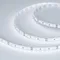 Минифото #1 товара Светодиодная лента MICROLED-5000HP 24V White6000 8mm (2216, 120 LED/m, LUX) (Arlight, 14 Вт/м, IP20)