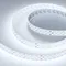 Минифото #1 товара Светодиодная лента RT-A252-19mm 24V White6000 (27 W/m, IP20, 2835, 5m) (Arlight, 27 Вт/м, IP20)