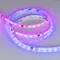 Минифото #3 товара Светодиодная лента герметичная SPI-SE-B60-10mm 24V RGB-PX6-BPT (12 W/m, IP65, 5060, 5m) (Arlight, бегущий огонь)