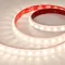 Минифото #1 товара Светодиодная лента герметичная FLT-PS-A42-23mm 24V Warm2700 (21 W/m, IP67, 30deg, 5m) (Arlight, -)
