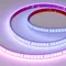 Минифото #1 товара Светодиодная лента герметичная SPI-PS-A120-12mm 24V RGB-PX6-BPT (23 W/m, IP67, 2835, 5m) (Arlight, бегущий огонь)