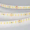 Минифото #3 товара Светодиодная лента герметичная RTW-SE-A160-8mm 24V White6000 (12 W/m, IP65, 5m) (Arlight, 12 Вт/м, IP65)