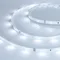 Минифото #1 товара Светодиодная лента RT 2-5000 24V Cool 8K 0.5x (3528, 150 LED, LUX) (Arlight, 2.9 Вт/м, IP20)