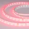 Минифото #1 товара Светодиодная лента RT-A60-8mm 24V Ruby (4.8 W/m, IP20, 5m) (Arlight, -)