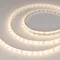 Минифото #1 товара Светодиодная лента герметичная RTW-SE-A60-8mm 24V Warm3000 (4.8 W/m, IP65, 2835, 5m) (Arlight, -)