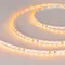 Минифото #1 товара Светодиодная лента RT-A120-5mm 24V Yellow (9.6 W/m, IP20, 2835, 5m) (Arlight, узкая)